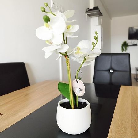 Parisian Cosy Flat With Balcony Apartment Argenteuil Luaran gambar